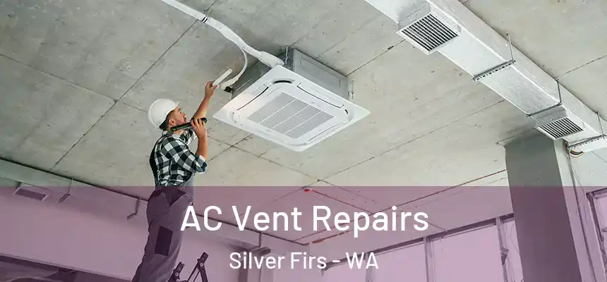  AC Vent Repairs Silver Firs - WA