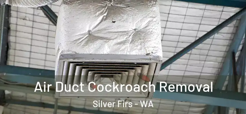  Air Duct Cockroach Removal Silver Firs - WA