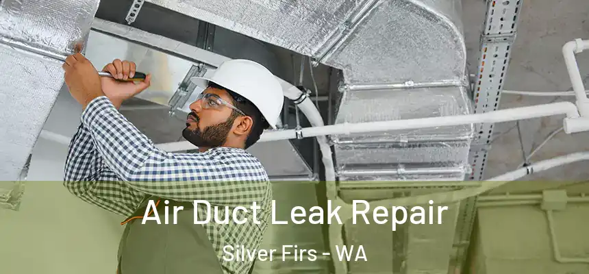  Air Duct Leak Repair Silver Firs - WA