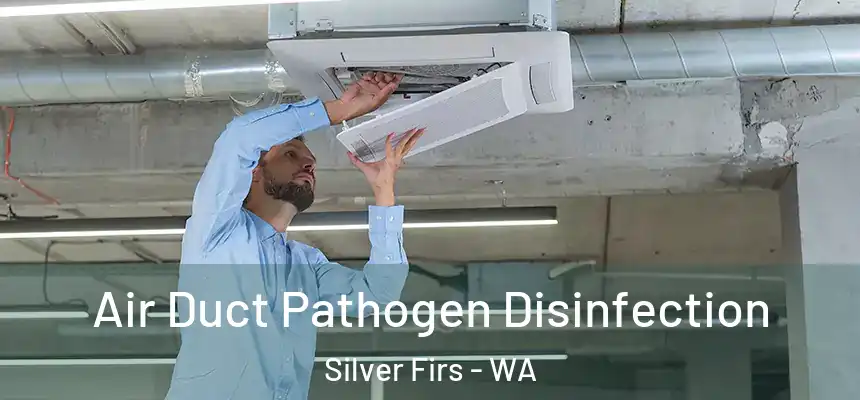  Air Duct Pathogen Disinfection Silver Firs - WA