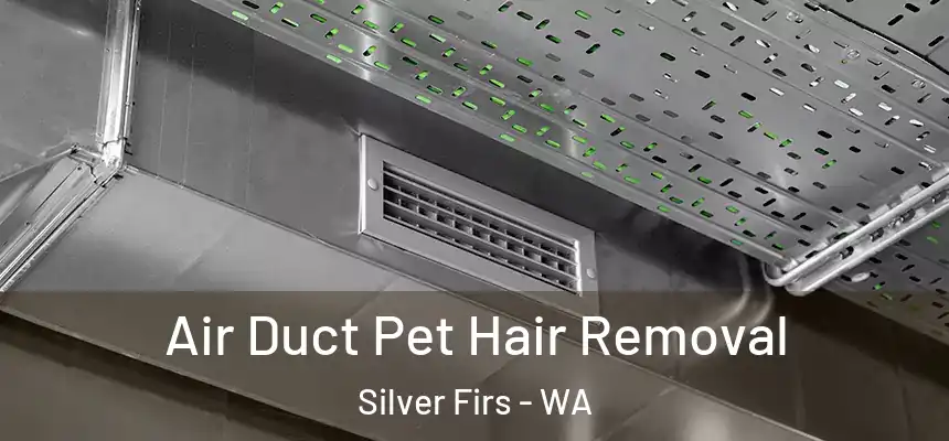  Air Duct Pet Hair Removal Silver Firs - WA