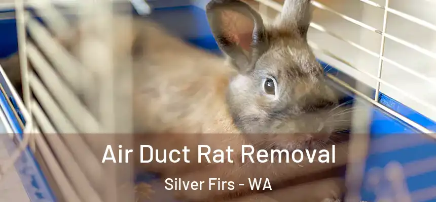  Air Duct Rat Removal Silver Firs - WA