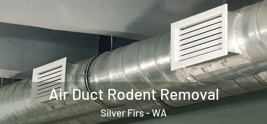  Air Duct Rodent Removal Silver Firs - WA