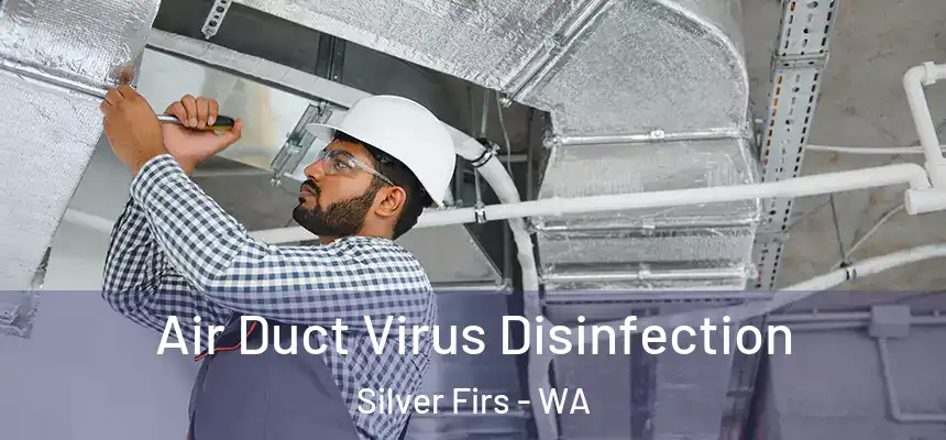  Air Duct Virus Disinfection Silver Firs - WA