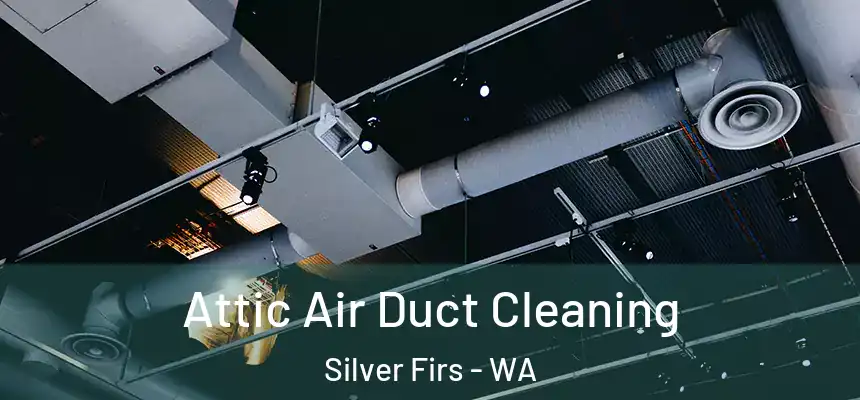  Attic Air Duct Cleaning Silver Firs - WA