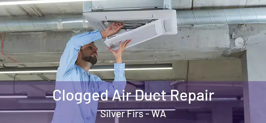  Clogged Air Duct Repair Silver Firs - WA
