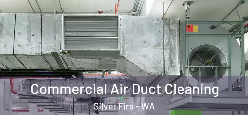  Commercial Air Duct Cleaning Silver Firs - WA