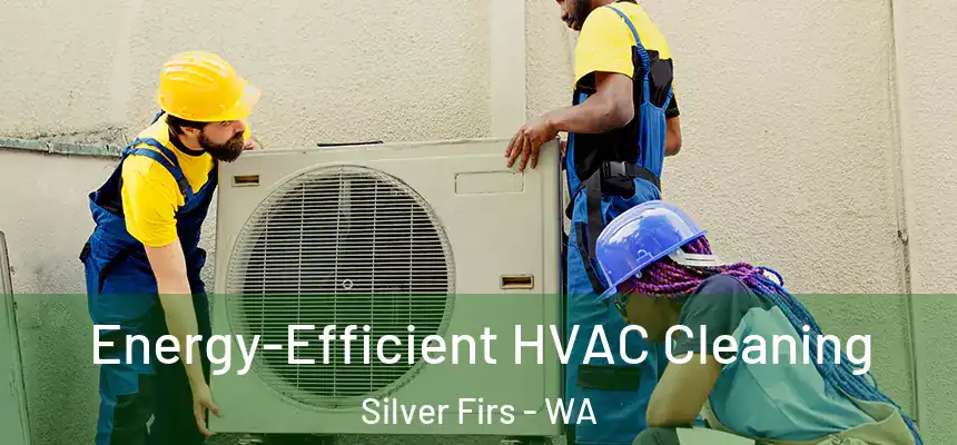  Energy-Efficient HVAC Cleaning Silver Firs - WA
