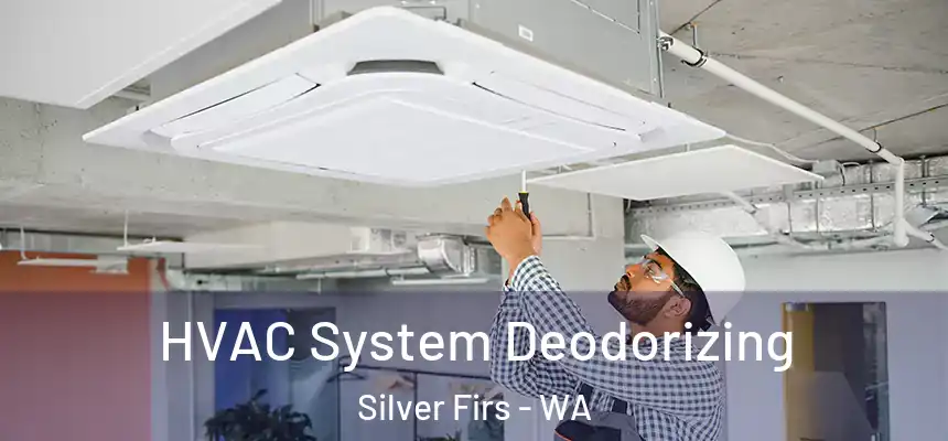  HVAC System Deodorizing Silver Firs - WA
