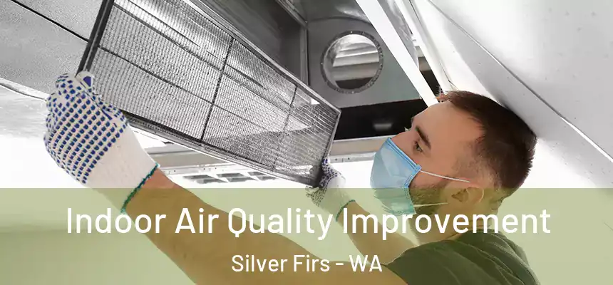 Indoor Air Quality Improvement Silver Firs - WA