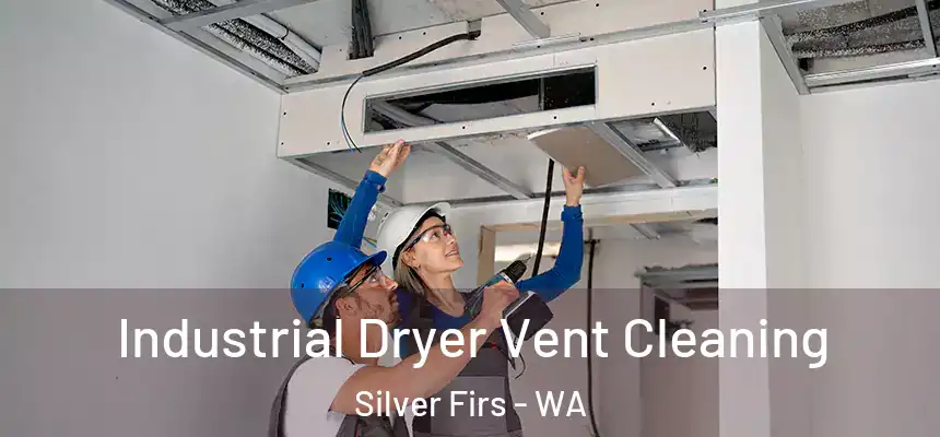  Industrial Dryer Vent Cleaning Silver Firs - WA