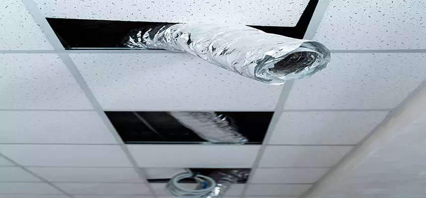 Affordable HVAC Sanitizing After Pest Removal in Silver Firs