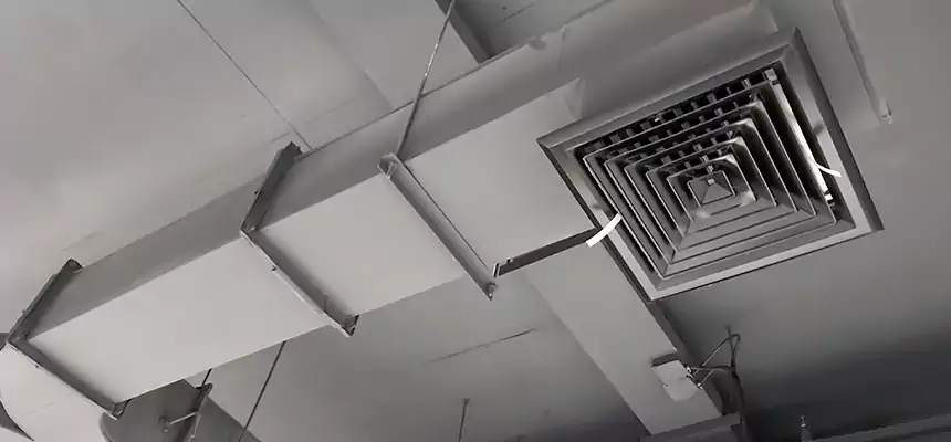 Restorative Allergy Relief Vent Cleaning – Coil, Blower & Housing Detail in Silver Firs