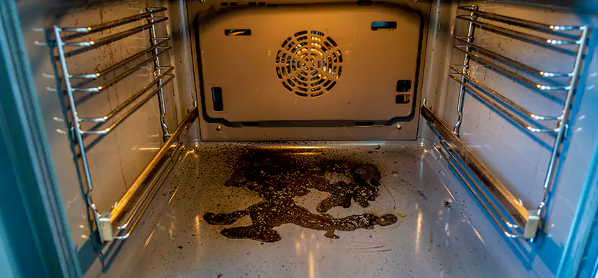 Our Dryer Vent Mold Cleaning Services in Silver Firs, WA