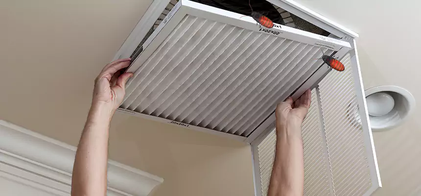Our Insect Removal from Air Ducts Services in Silver Firs, WA
