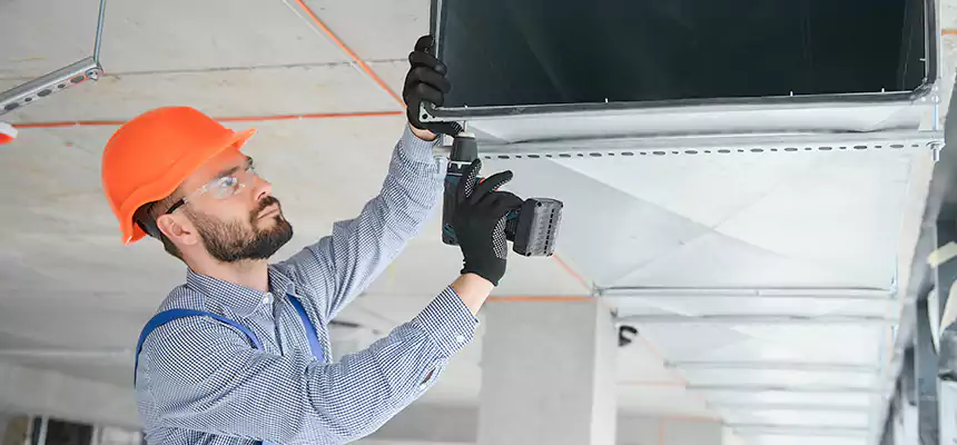 Roof Cap & Exterior Hood Lint Buildup Removal – Silver Firs