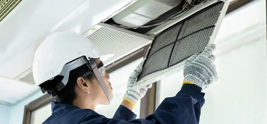 Our Lint Trap Cleaning Service Services in Silver Firs, WA