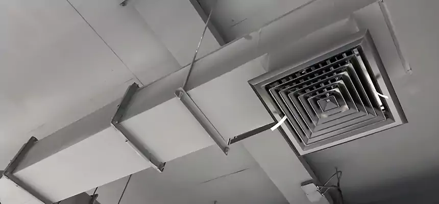 Our Rodent Droppings In Vents Services in Silver Firs, WA