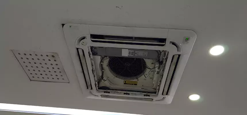 Our Wall Vent Cleaning Service Services in Silver Firs, WA