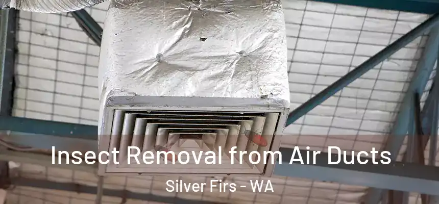  Insect Removal from Air Ducts Silver Firs - WA