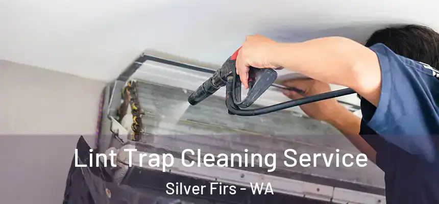  Lint Trap Cleaning Service Silver Firs - WA
