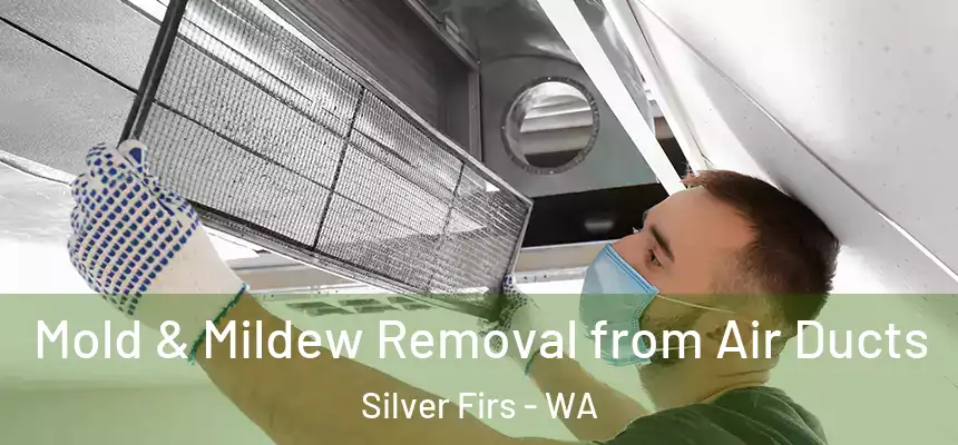 Mold & Mildew Removal from Air Ducts Silver Firs - WA
