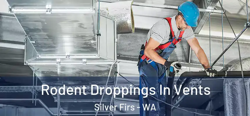  Rodent Droppings In Vents Silver Firs - WA
