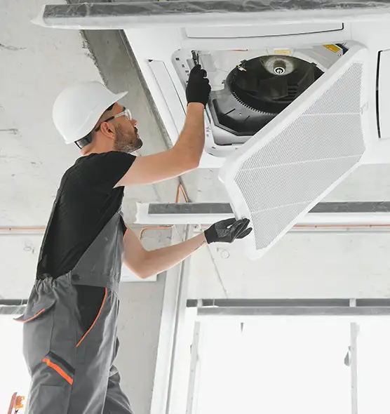 About Air Duct Rodent Removal in Silver Firs, WA