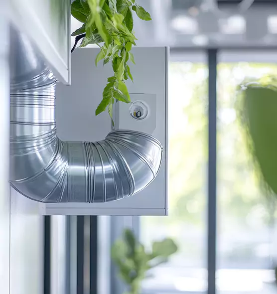 Professional Eco-Friendly Duct Cleaning Services in Silver Firs, WA