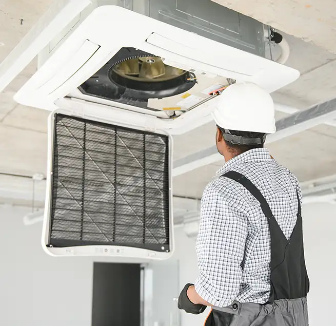 Why Homeowners & Businesses Trust Us in Silver Firs, WA?