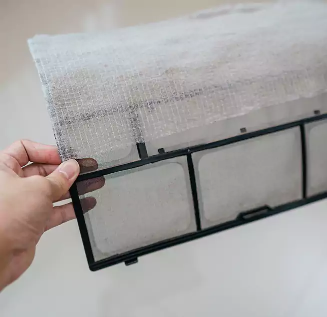 Why Homeowners & Businesses Trust Us in Silver Firs, WA?