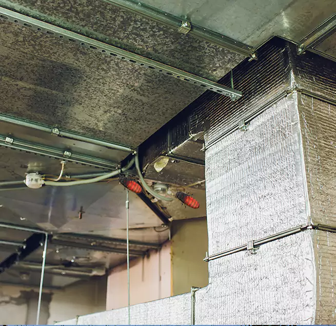 Why Homeowners & Businesses Trust Us Silver Firs, WA?