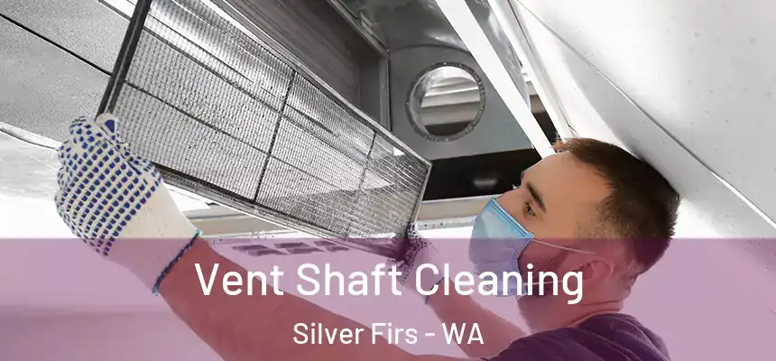  Vent Shaft Cleaning Silver Firs - WA